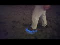 bio luminescence