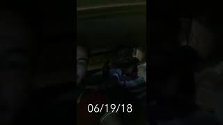 Bahman Safari 2018 Shavin