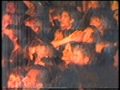 Rod Piazza & The Mighty Flyers, Byron Bay, 1992
