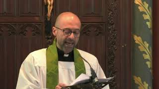 "Diversion And Delight" - Homily Sunday July 18 2021