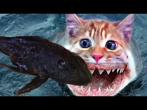 Рыбы-мутанты появились в реке Дон. Fish-mutant Рыбы-мутанты появились в реке Дон. Fish-mutant