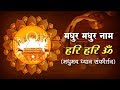 मधुर मधुर नाम हरि हरि ॐ | मधुमय ध्यान संकीर्तन | Sant Shri Asharamji Bapu Madhur Kirtan