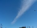 Chemtrail or long Sylph with 3 babies
