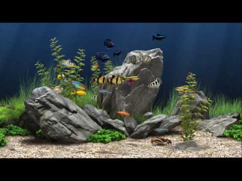 Dream Aquarium XP Screensaver Dream Aquarium XP Screensaver
