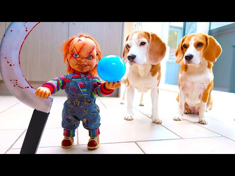 Dogs vs Little Chucky Halloween Prank 3 : Funny Dogs Louie & Marie
