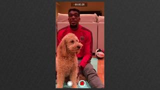 SZOoXVCKuMo Video Image