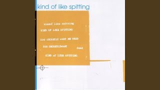 Watch Kind Of Like Spitting Please Dont Sweat The Afterlife video