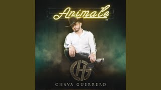 Animate