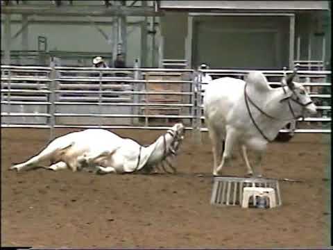 Bareback Rider Video
