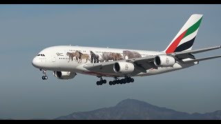 (HD) 3 Hours of Watching Airplanes | Los Angeles International Airport LAX Plane Spotting