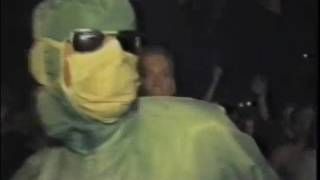 Watch The Dolphins video