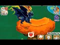 dragon city