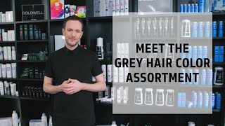 Meet Dwells Versatile Grey Hair Color Ortment Dwell Education Plus