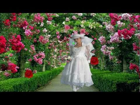 bollywood very beutiful song phool phool pa bani tari tasweer...