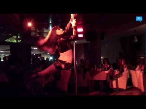 Скачать песни zebrahead survivor