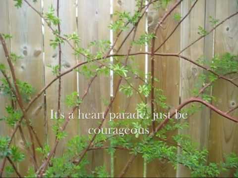 Backyards Video