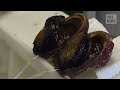VICE News Daily: Beyond The Headlines - September, 2 2014