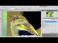 Видео уроки по работе с Photoshop. (Елена Минакова) Видео уроки по работе с Photoshop. (Елена Минакова)