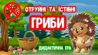 Отруйні Та Їстівні Гриби Презентація Для Дітей Дидактична Гра