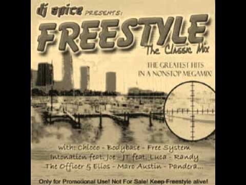 The Freestyle Mix (DJ ...