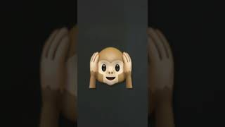 Monkeys Spinning Monkeys
