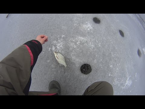 густера на безмотылку видео густера на безмотылку видео