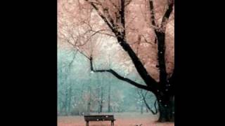 Laura Miller - Ahora No