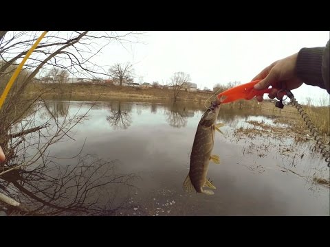ловля на сеть китайку ловля на сеть китайку