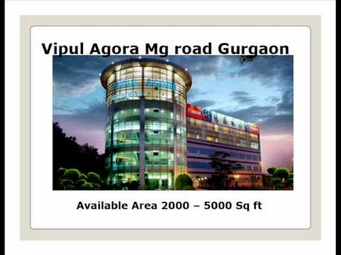 Bptp Gurgaon Office