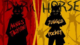 Uma Musume Pretty Derby Beginning Of A New Eraagnes Tachyon Vs Jungle Pocketdark Horse