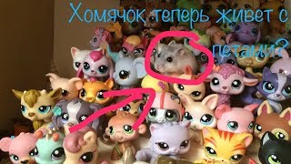 Как сделать пэт шопа Как сделать пэт шопа