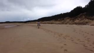 Faye & Shammy First Ever Canter On The Beach
