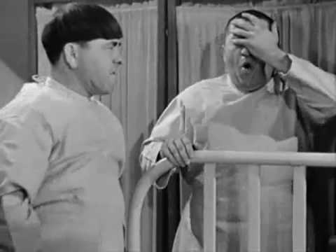moe larry and curly The three stooges: learn all about moe, shemp and curly howard