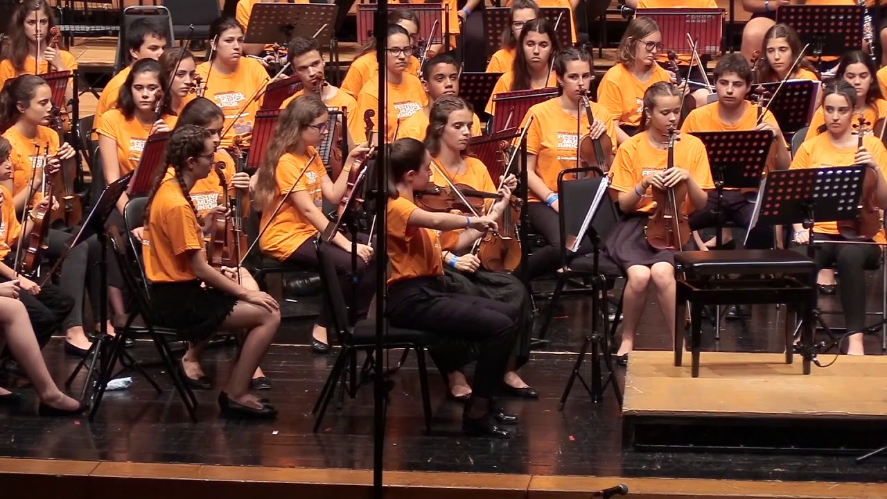 Pedro Ordieres violinista y director