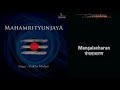 Shiva Mantra | Shiva Mangalacharan | Vande Deva Umapatim | Shiva Stotram
