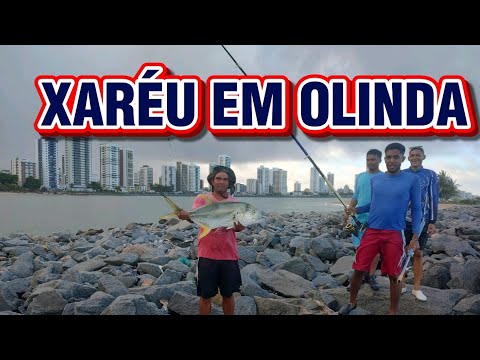 XARÉU FISHED IN OLINDA