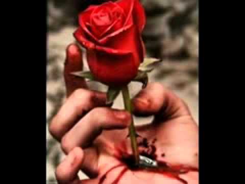YARA TERA DARD BORA mpeg4 03002100149