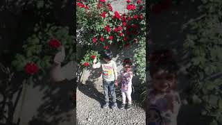 Le Xumar Qedimova.daha Uzmuyecem Seni
