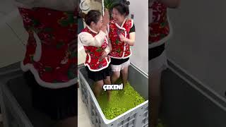 Bunu Öğrendi̇ği̇ni̇zde Üzüm Suyu İçmeyi̇ Birakacaksiniz