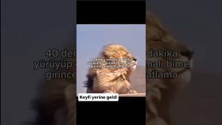 Kurabiye Var Simit Var Neye Bakıyon