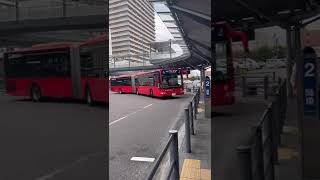 Is This The Longest Bus In The World? Only Japan