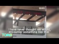 Chinese couple having sex at an airport caught on camera live viral video