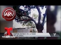 Pareja asegura captar duende en el patio de su casa | Al Rojo Vivo | Telemundo