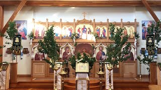 DIVINE LITURGY- PENTECOST- TRINITY SUNDAY (June 20th)