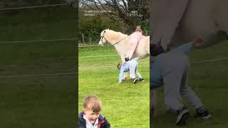Big Brother Helps Little Sister Onto Pony