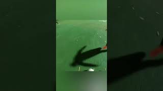 SdaybuC4RJc Video Image