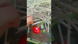 Mary Christmas Allchristmas Crib Decorating Ponnus Bechus World