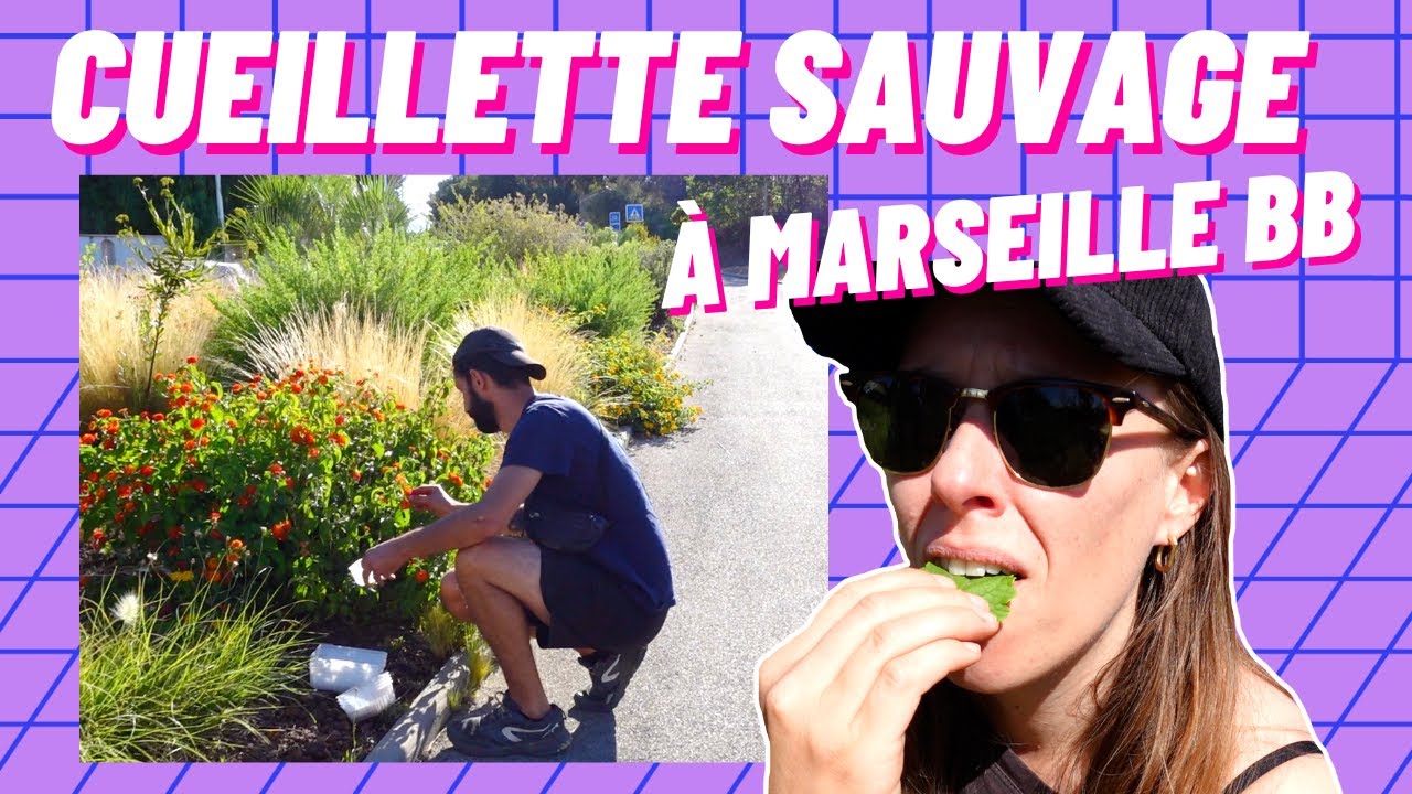 Toutes les vidéos