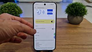 Voice Access On Google Pixel 9 Pro Hands-Free Phone Control