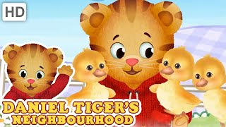 Daniel Tiger - Daniel Waits for Show and Tell (HD - Full Episode)